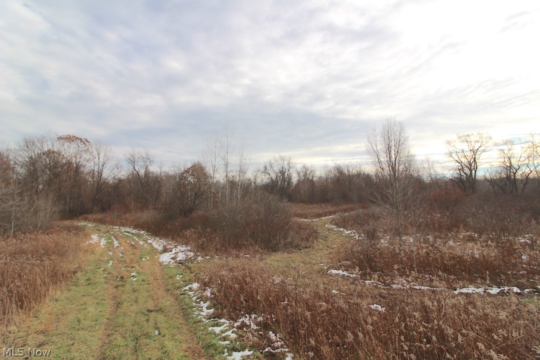 7636 Center Road Ashtabula, OH 44004 - Photo 21 of 35 Gallery Image 21
