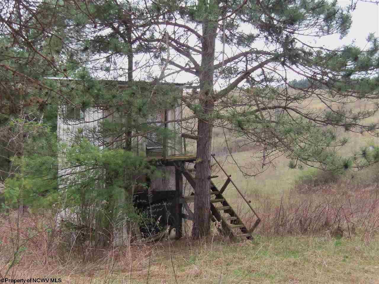 Salt Lick Road Terra Alta, WV 26764 - Photo 15 of 19 Gallery Image 15