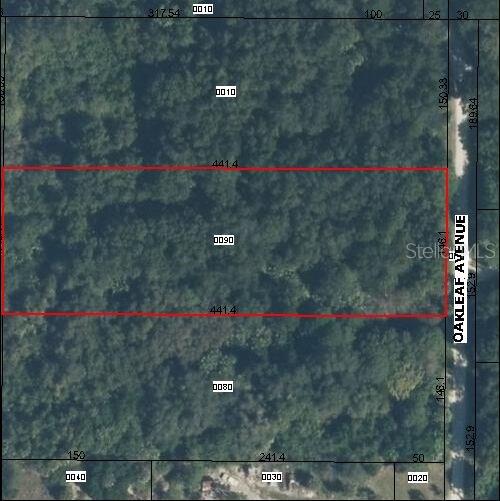 0 Oakleaf Avenue Port Richey, FL 34668 - Photo 1 of 1 a view of a flower
