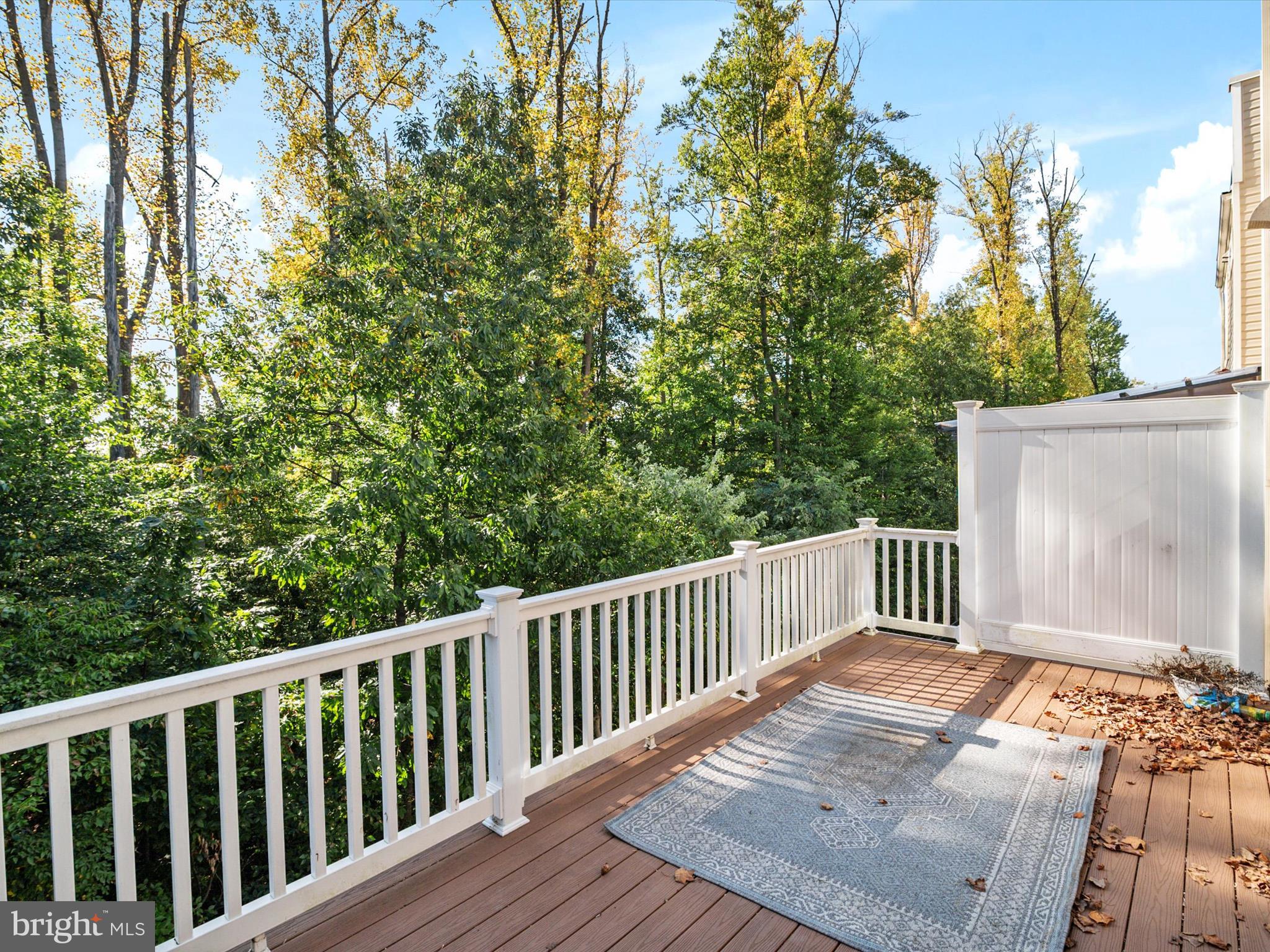 1221 Orchid Road Gambrills, MD 21054 - Photo 21 of 62