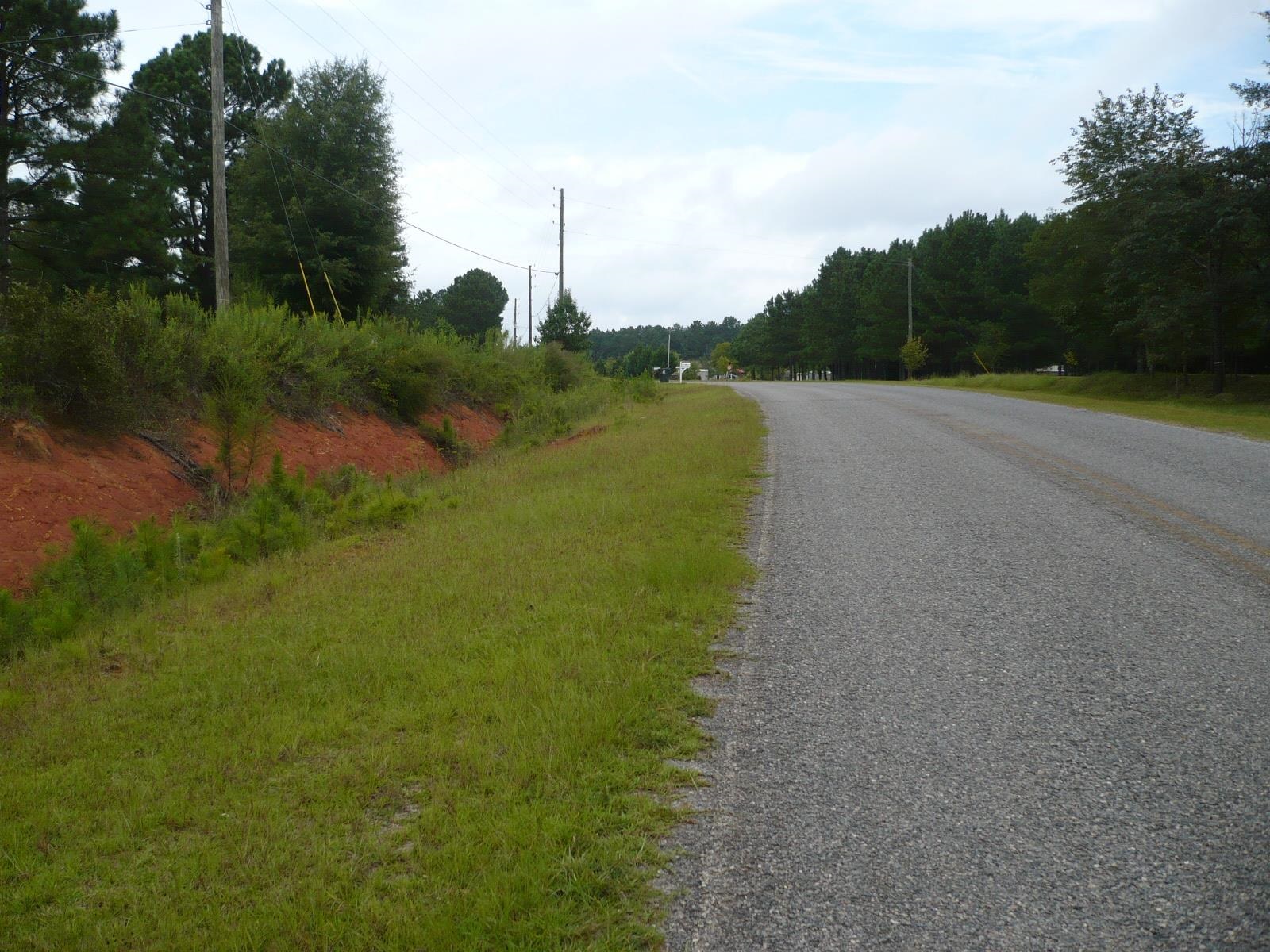 3.12-acres Cool Springs Road Fort Valley, GA 31030 - Photo 3 of 13