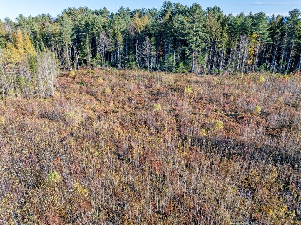 Lot 8 Mcintyre Road Dalton, NH 03598 - Photo 3 of 8
