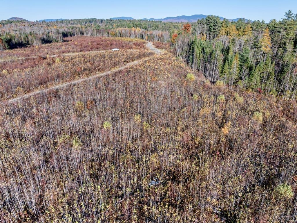 Lot 8 Mcintyre Road Dalton, NH 03598 - Photo 4 of 8