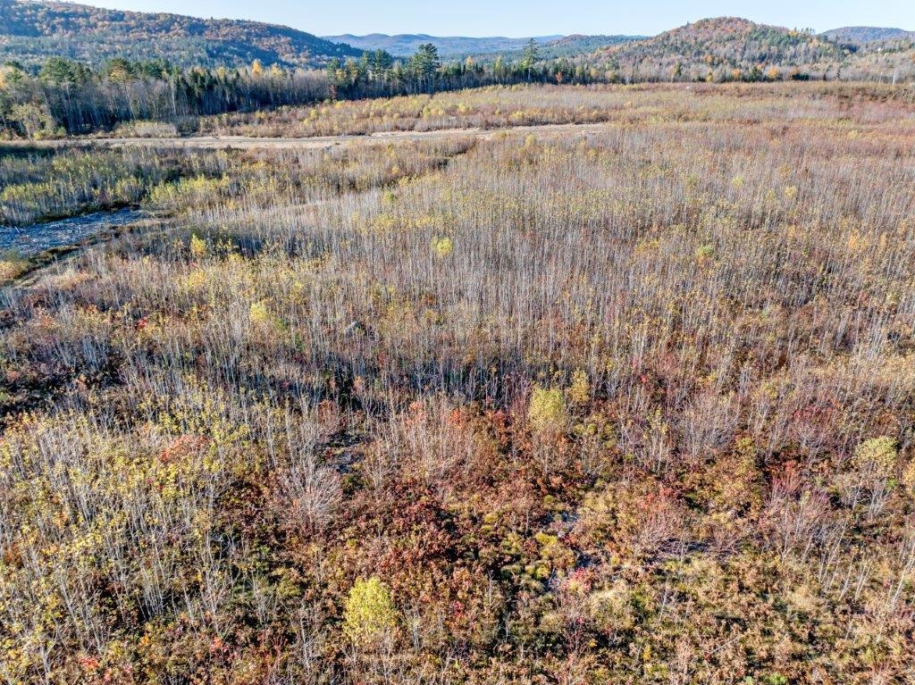 Lot 8 Mcintyre Road Dalton, NH 03598 - Photo 6 of 8