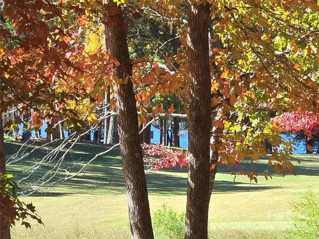 a view of swimming pool from a tree