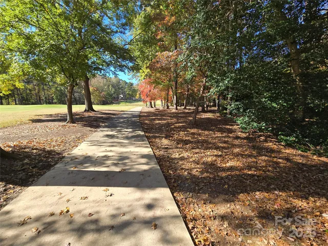 a view of a yard with large trees