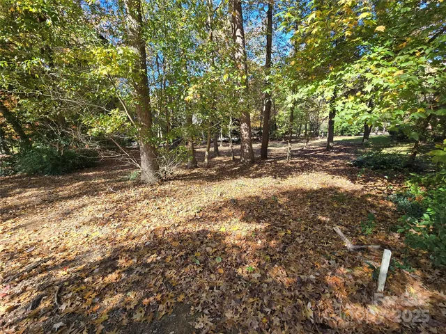 a view of a yard with trees
