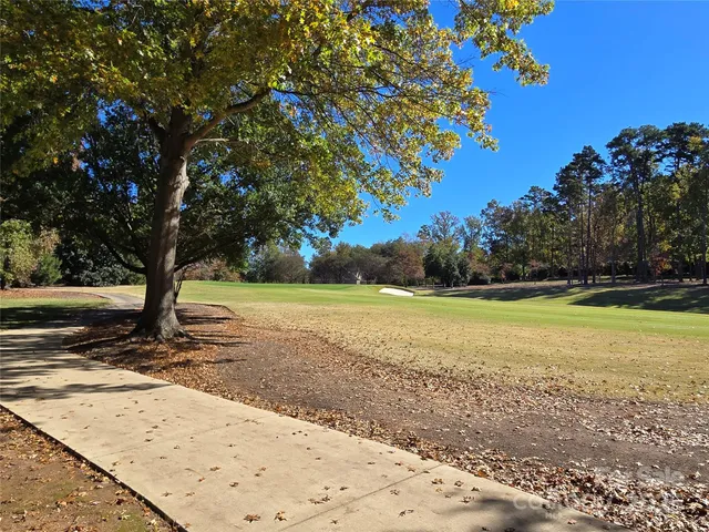 a view of a yard with an trees