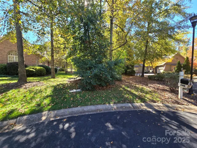 a view of a yard with plants and trees