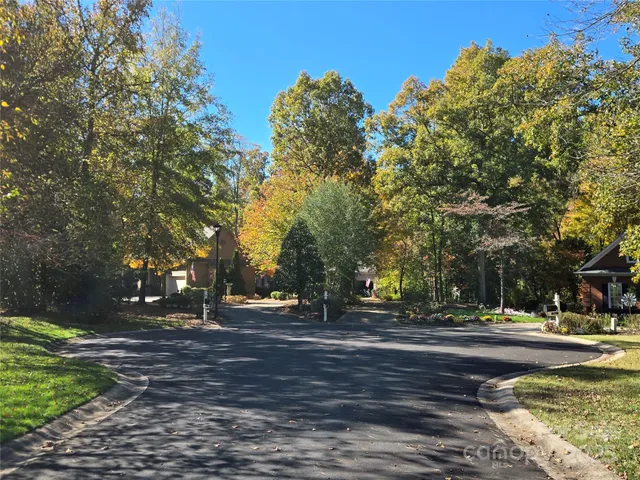 a street view with large trees