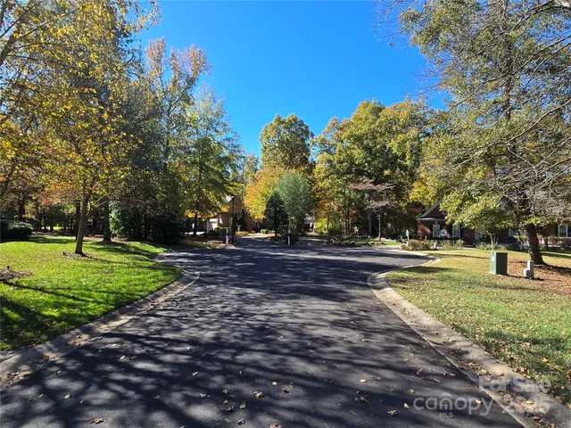 a view of a park with large trees