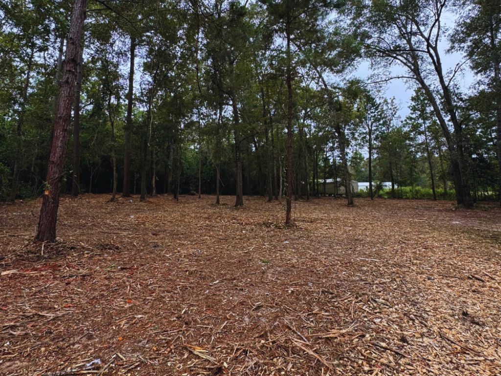 Tbd Tbd The Living End End, Unit END Shepherd, TX 77371 - Photo 5 of 7 a backyard of a house with lots of green space