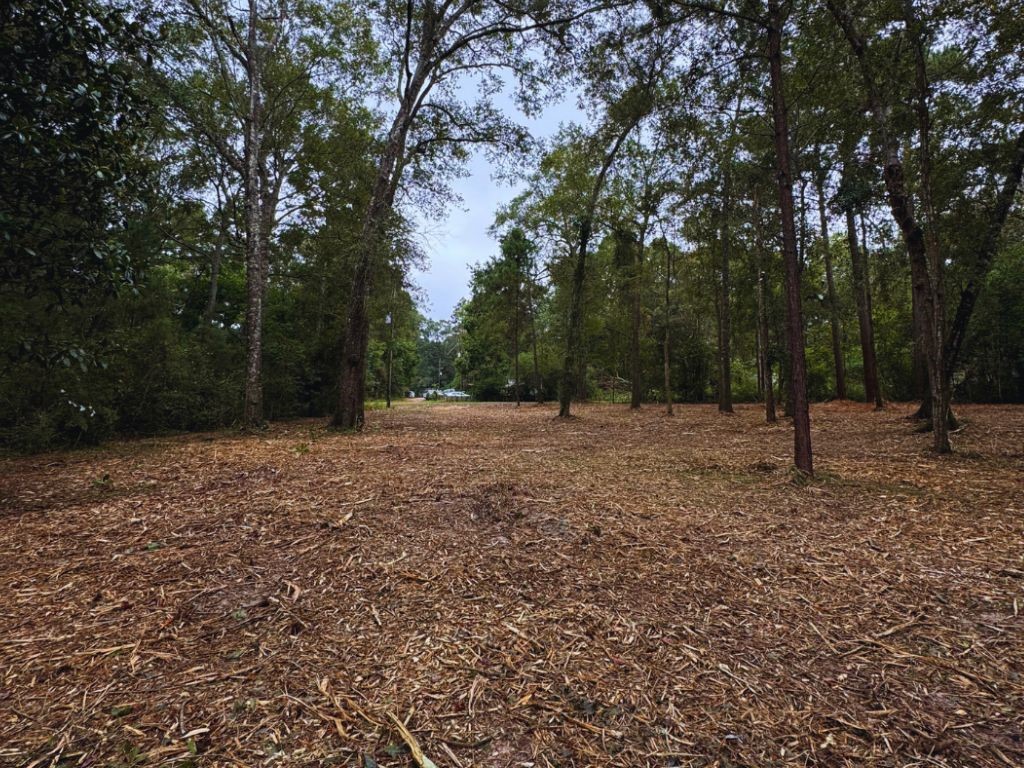 Tbd Tbd The Living End End, Unit END Shepherd, TX 77371 - Photo 6 of 7 a view of outdoor space with trees