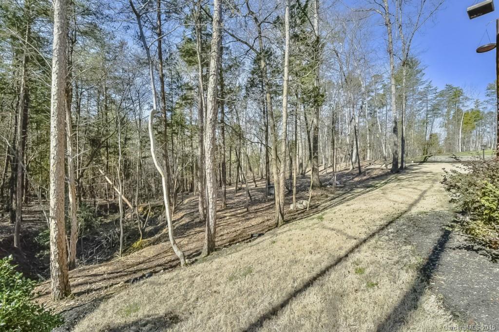 315 Calming Way Tega Cay, SC 29708 - Photo 23 of 24 a view of backyard with green space