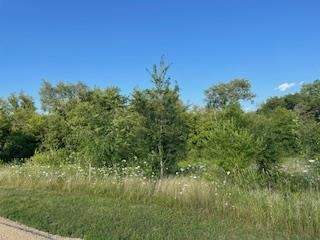 Lot 41 Lucille Merrimac, WI 53561 - Photo 5 of 10