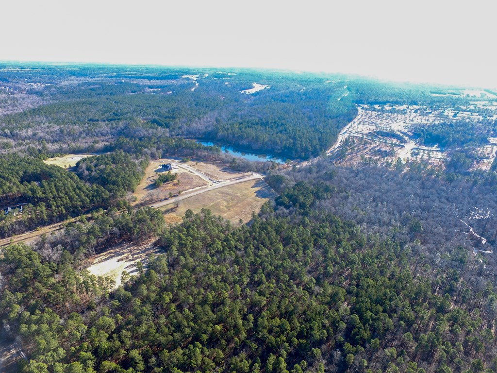 Lot 25-26 Anderson Pond Road Johnston, SC 29832 - Photo 8 of 11