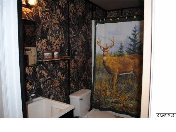 4144 Ridge Road Barboursville, VA 22923 - Photo 17 of 29 Downstairs Bathroom