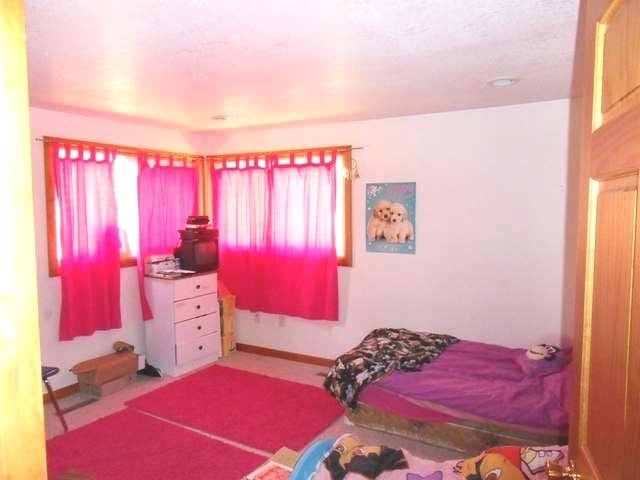 4082 Mill Lake Road Rhinelander, WI 54501 - Photo 5 of 19 Gallery Image 5