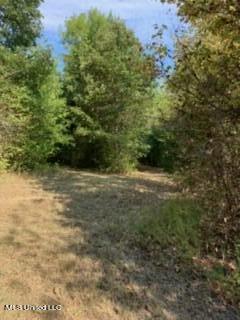 2561 Bowmantown Road Coldwater, MS 38618 - Photo 11 of 34 IMG_0415