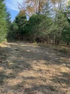 2561 Bowmantown Road Coldwater, MS 38618 - Photo 12 of 34 IMG_0416