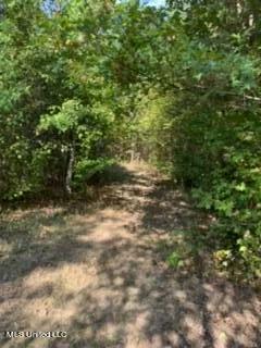 2561 Bowmantown Road Coldwater, MS 38618 - Photo 13 of 34 IMG_0417