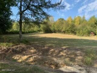 2561 Bowmantown Road Coldwater, MS 38618 - Photo 18 of 34 IMG_0422
