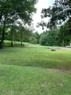 2561 Bowmantown Road Coldwater, MS 38618 - Photo 25 of 34 68246942758__F3A12A4D-DB3F-46BE-937D-286