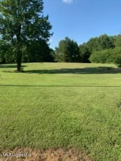 2561 Bowmantown Road Coldwater, MS 38618 - Photo 29 of 34 IMG_0313