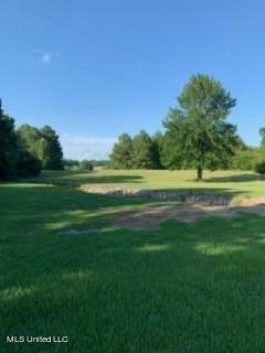 2561 Bowmantown Road Coldwater, MS 38618 - Photo 32 of 34 IMG_0316