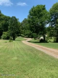 2561 Bowmantown Road Coldwater, MS 38618 - Photo 4 of 34 IMG_0327