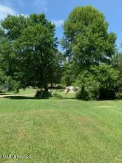 2561 Bowmantown Road Coldwater, MS 38618 - Photo 5 of 34 IMG_0328