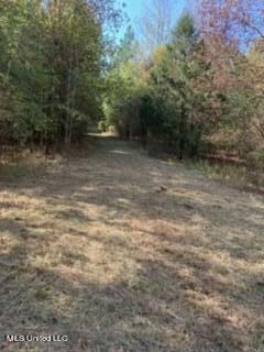 2561 Bowmantown Road Coldwater, MS 38618 - Photo 7 of 34 IMG_0411