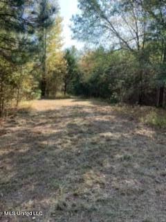 2561 Bowmantown Road Coldwater, MS 38618 - Photo 8 of 34 IMG_0412