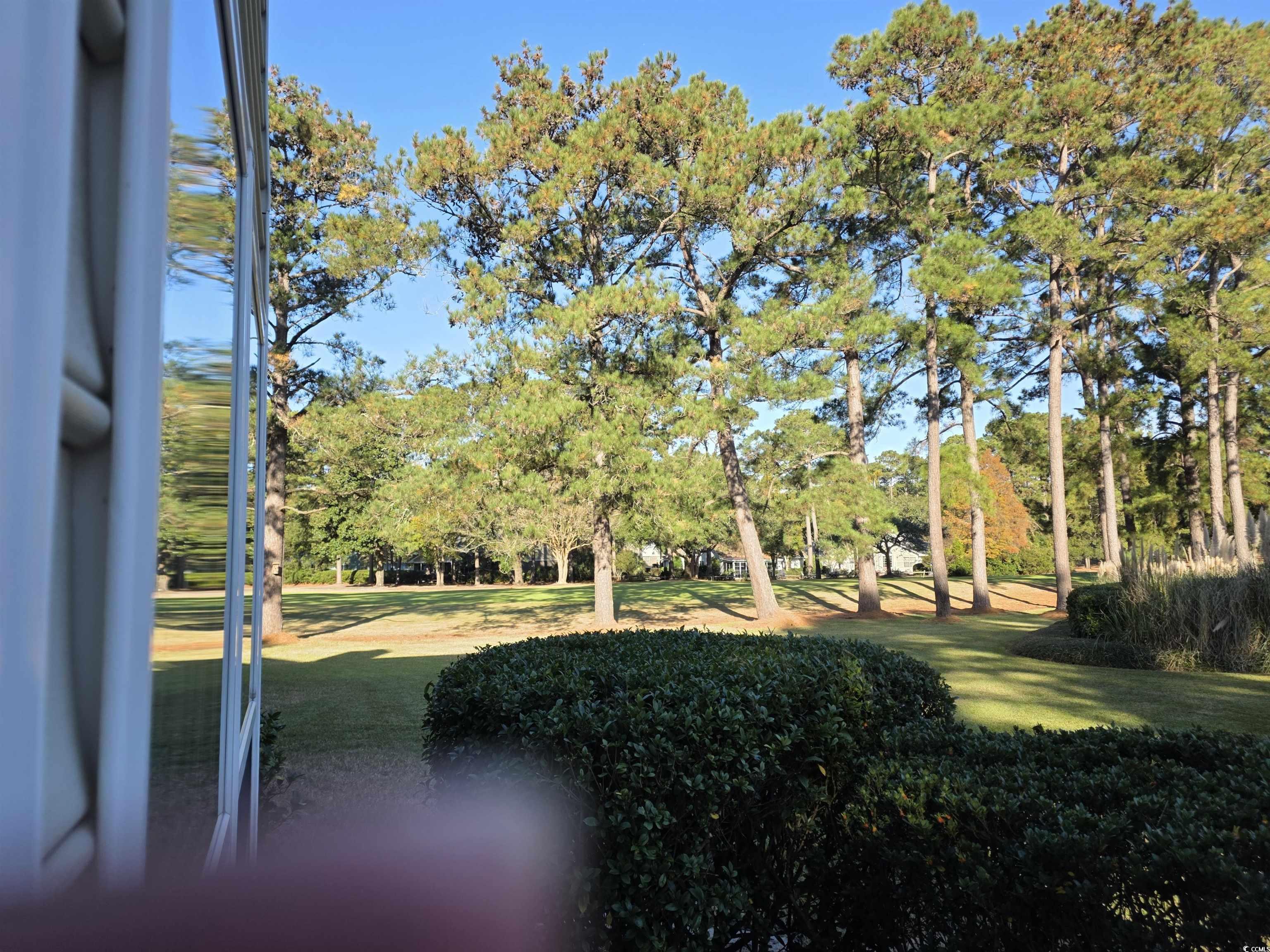 1637 Club Circle, Unit 18 Pawleys Island, SC 29585 - Photo 20 of 20 View of green lawn featuring view of scattered trees
