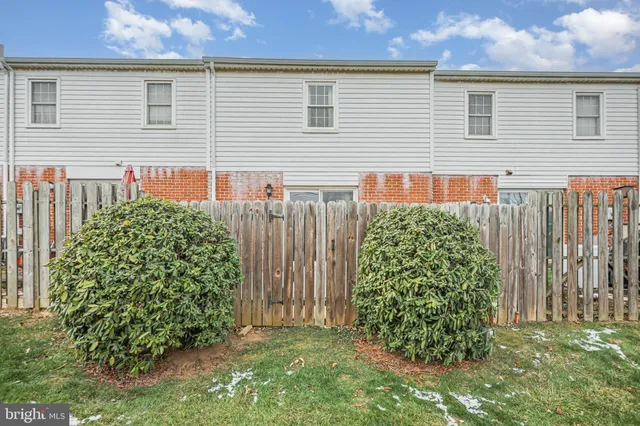 a view of a backyard with plants