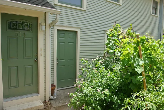 a house with a plant