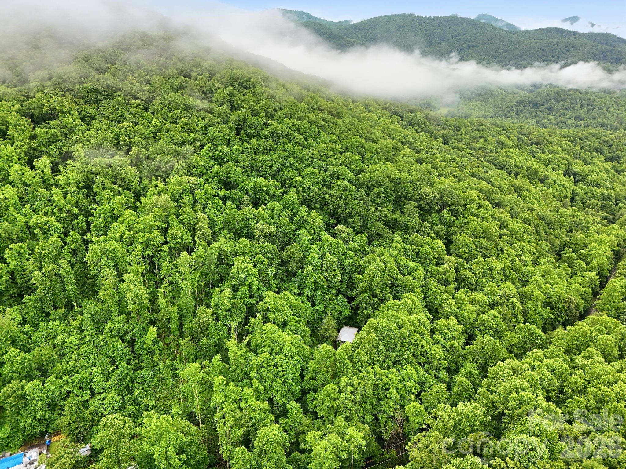 182 Saw Branch Road Candler, NC 28715 - Photo 37 of 37