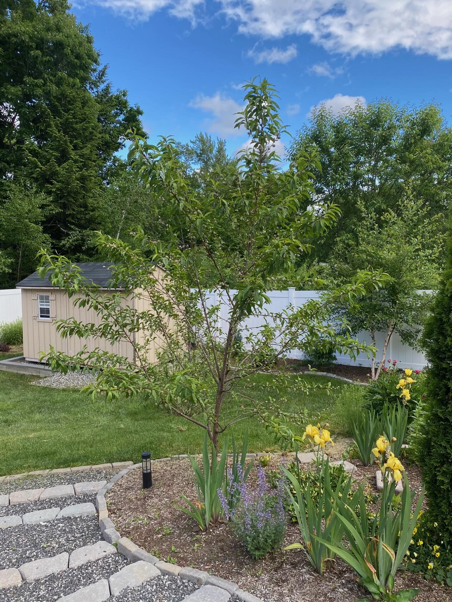 57 Deerfield Road North Berwick, ME 03906 - Photo 71 of 80 Deerfield 8