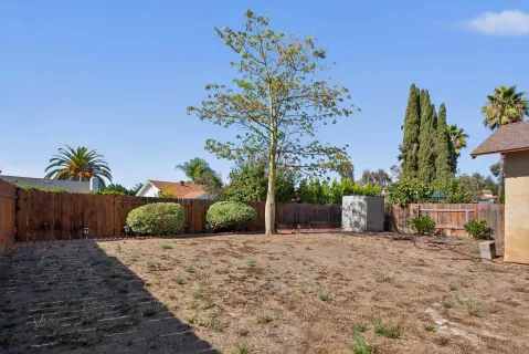 a view of a backyard