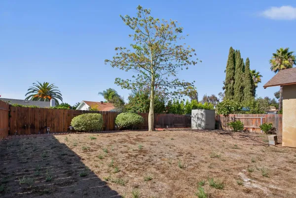 a view of a backyard