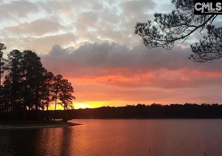 0 Edisto Lake Road Wagener, SC 29164 - Photo 4 of 6