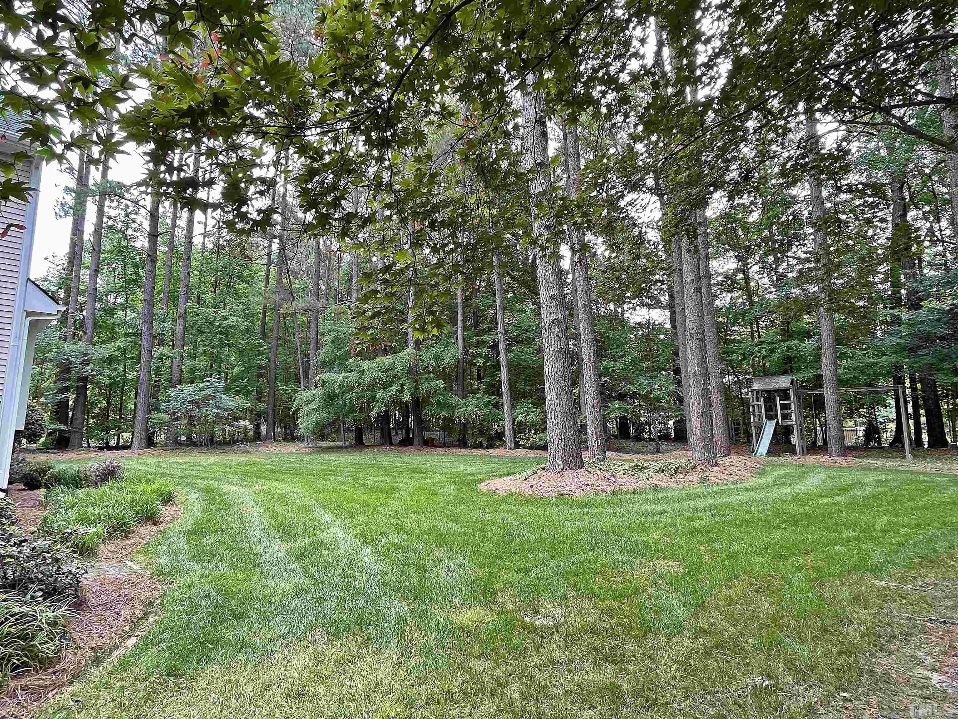 5437 Denberg Lane Raleigh, NC 27606 - Photo 5 of 45 a view of a park with large trees