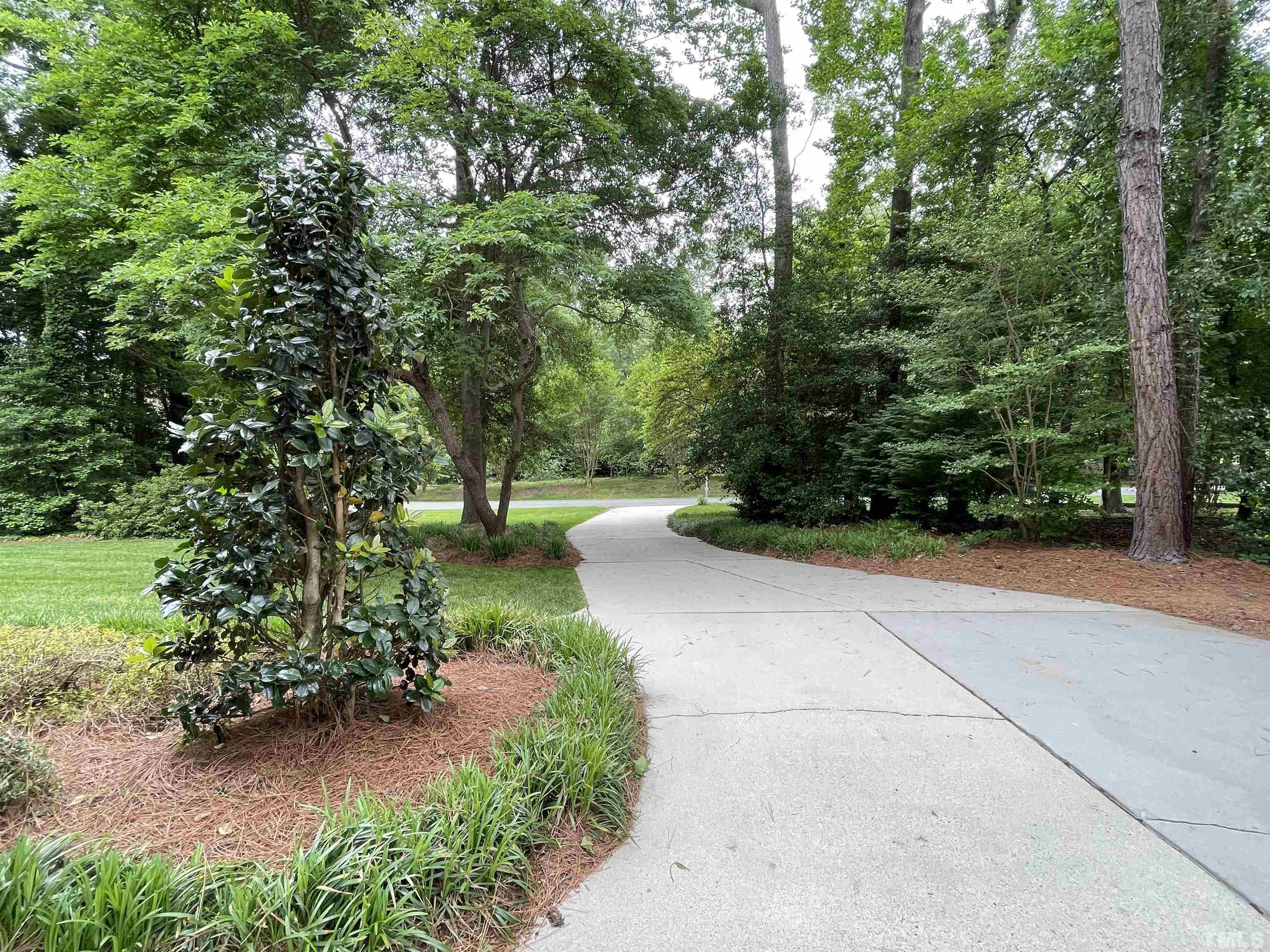 5437 Denberg Lane Raleigh, NC 27606 - Photo 7 of 45 a view of a park with plants and trees