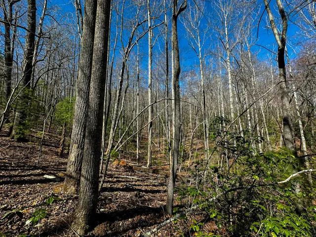 $179,000 | 0 Pole Bridge Road, Stuart, VA 24171