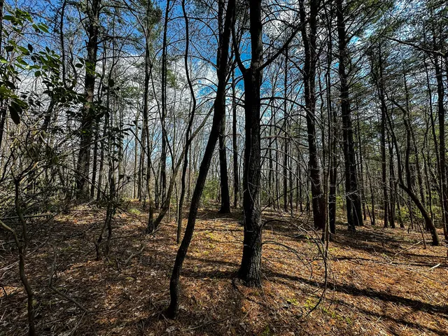 $179,000 | 0 Pole Bridge Road, Stuart, VA 24171