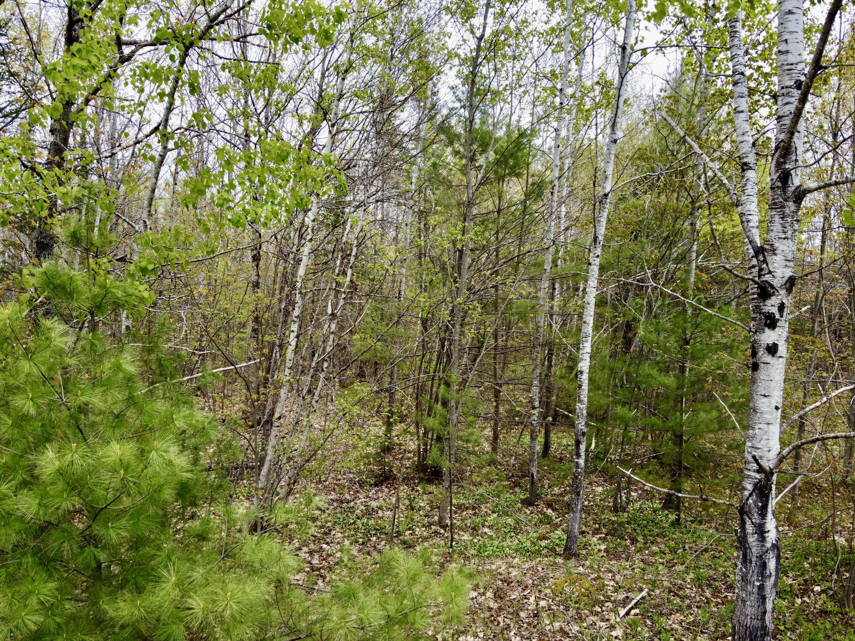 M4-l30 Edinburg Road Howland, ME 04448 - Photo 6 of 13 M4 L30