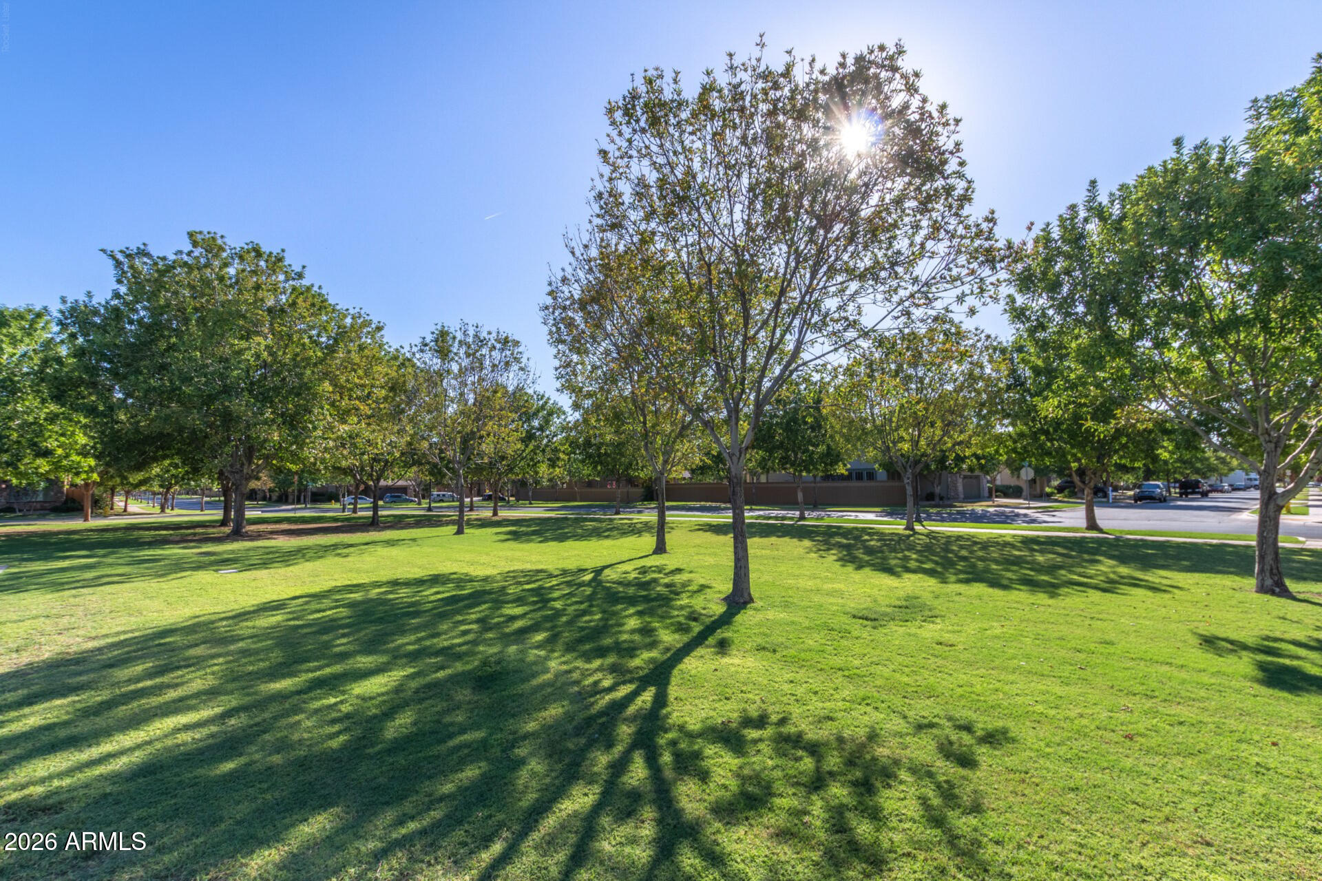 4331 East Cullumber Street Gilbert, AZ 85234 - Photo 36 of 42 a view of large trees and playing ground