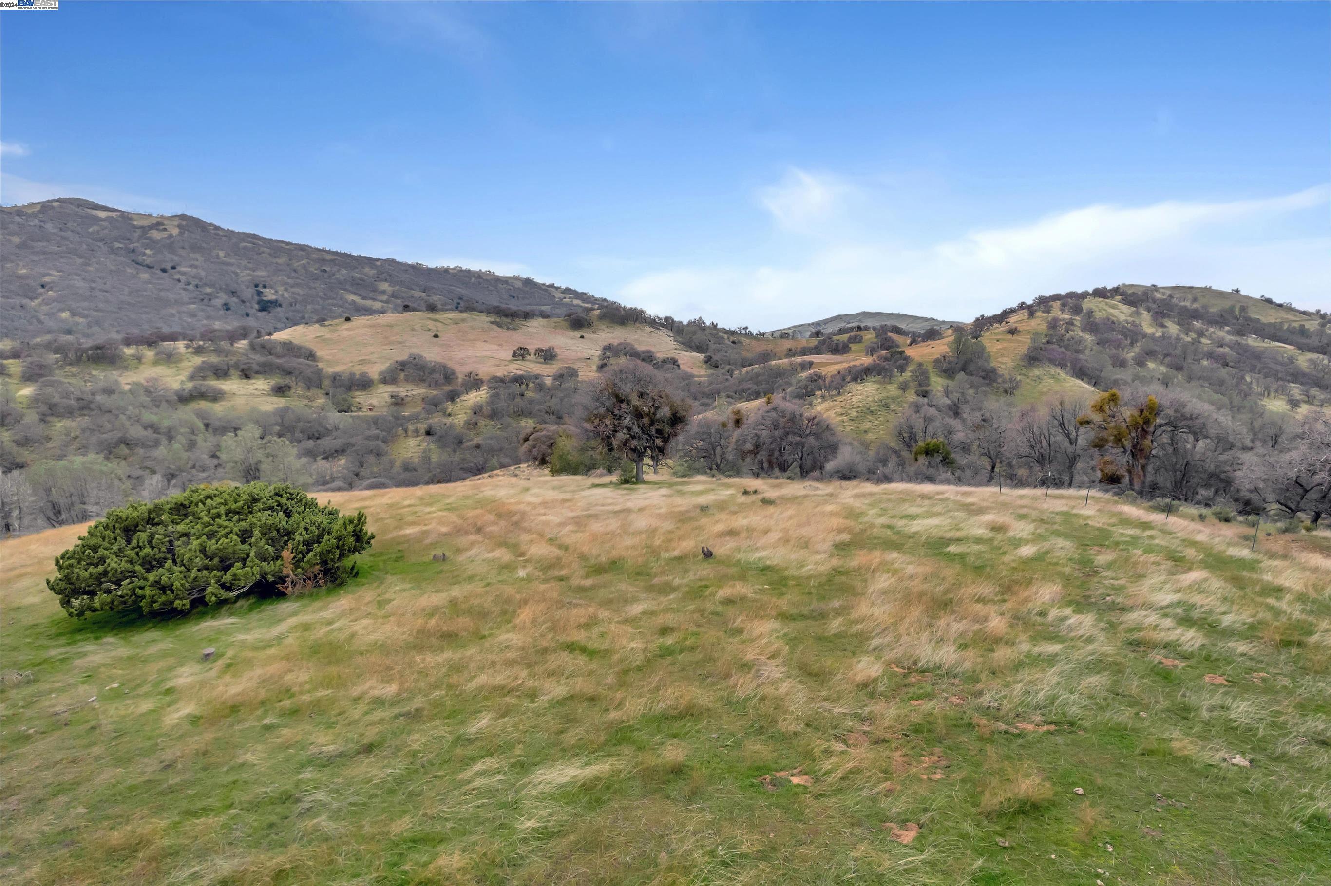 17040 Mines Road Livermore, CA 94550 - Photo 1 of 1 Gallery Image 1