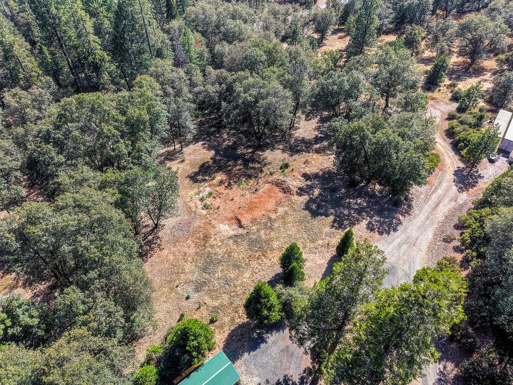 17008 Bloomfield Ridge Place Nevada City, CA 95959 - Photo 52 of 52