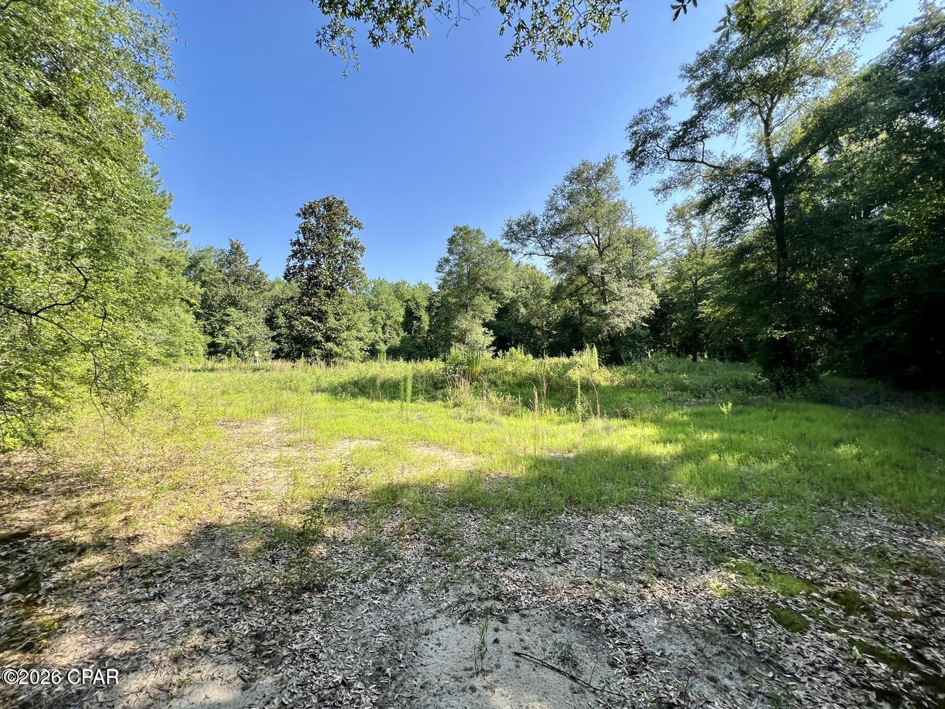 0 Broom Road Bonifay, FL 32425 - Photo 10 of 10